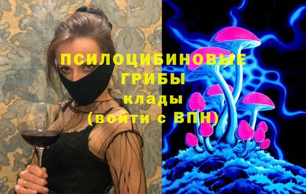 дурь Гусиноозёрск