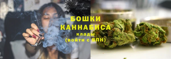 дурь Гусиноозёрск