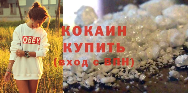 молекула духа Гусев