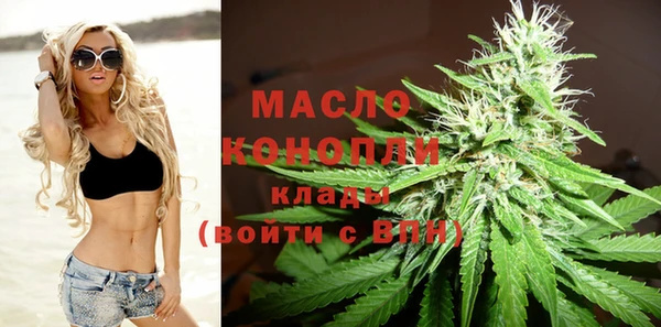 молекула духа Гусев