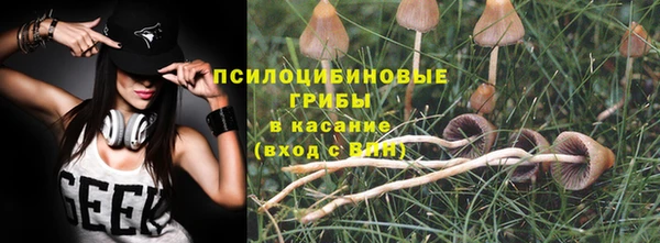 дурь Гусиноозёрск