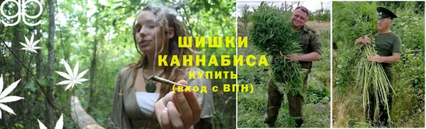 молекула духа Гусев