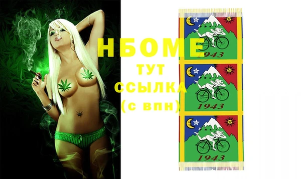 молекула духа Гусев