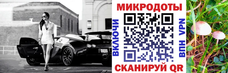 omg зеркало Жуковский Галлюциногенные грибы Cubensis магазин продажи наркотиков