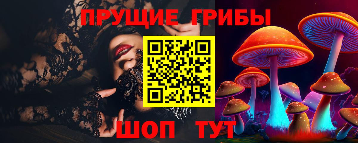Псилоцибиновые грибы Cubensis Жуковский