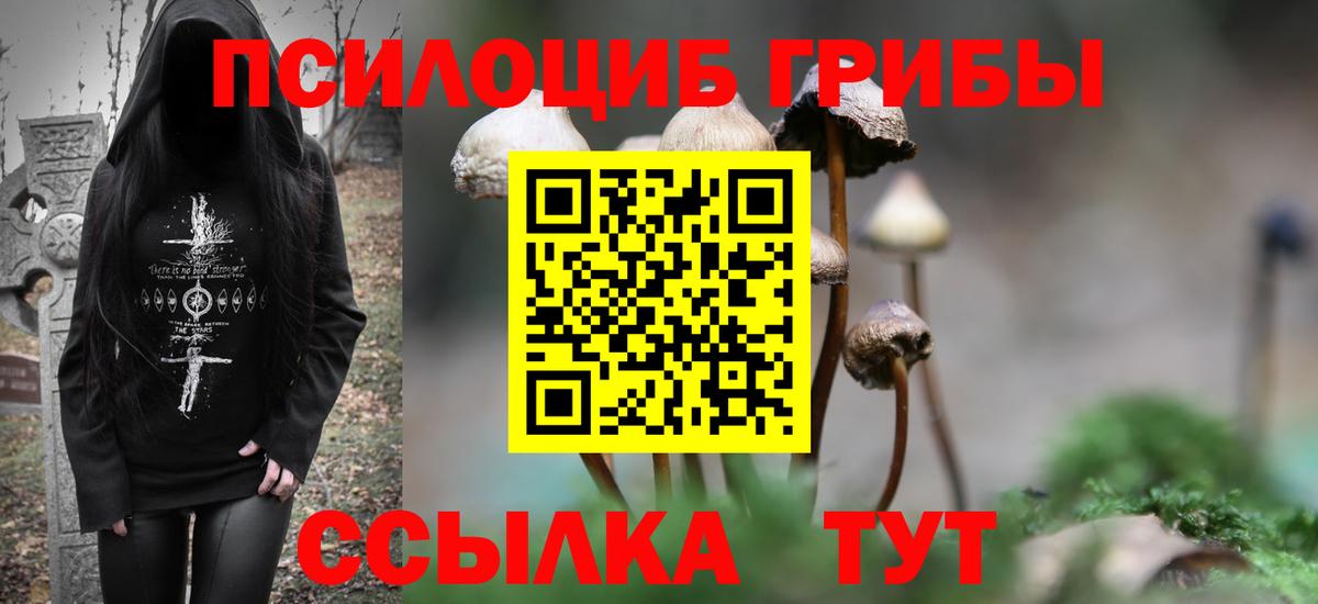 Жуковский  Галлюциногенные грибы прущие грибы  Вход с VPN  Псилоцибиновые грибы мухоморы 